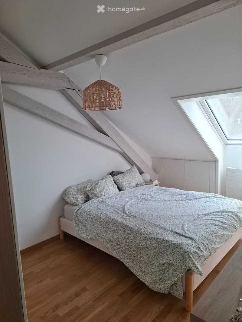 Extracentre - 2.5pcs - charmant et calme (3)