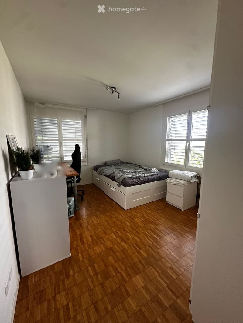 Helle 2.5 Zimmer Wohnung (3)