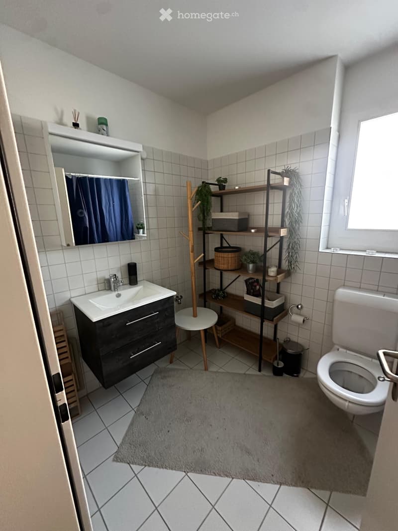 Helle 2.5 Zimmer Wohnung (2)
