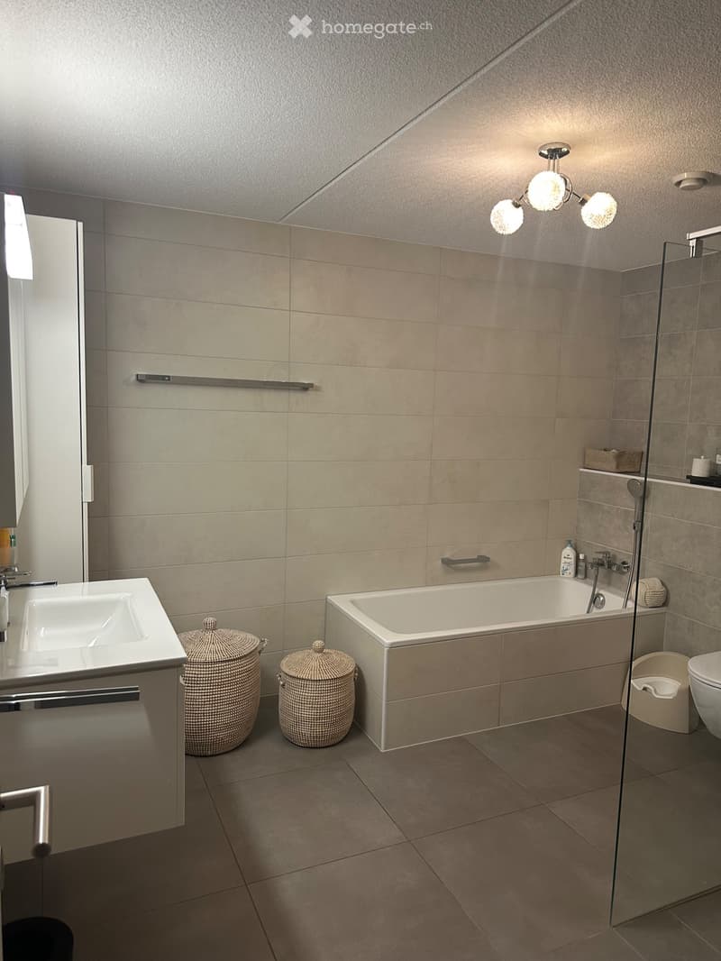 APPARTEMENT 4.5 PCES (2)