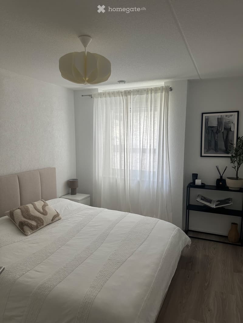 APPARTEMENT 4.5 PCES (3)