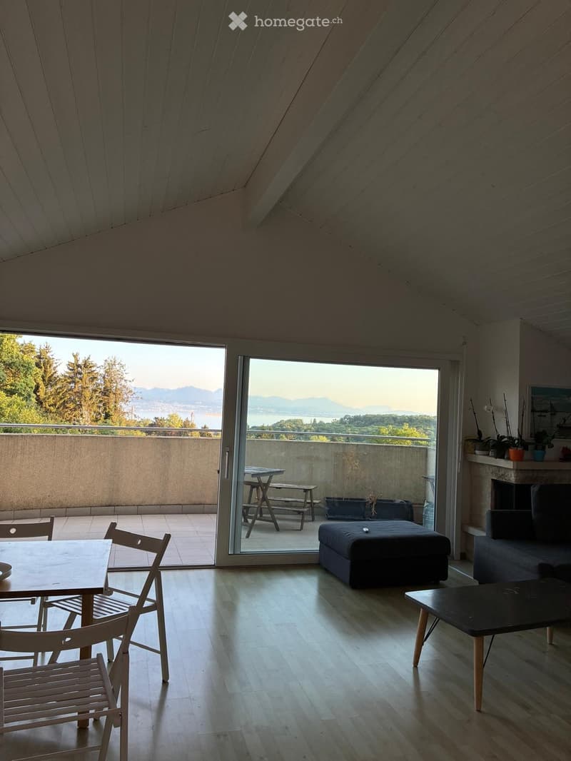 Attique 4.5 pièces avec vue panoramique lac  Lausanne (6)