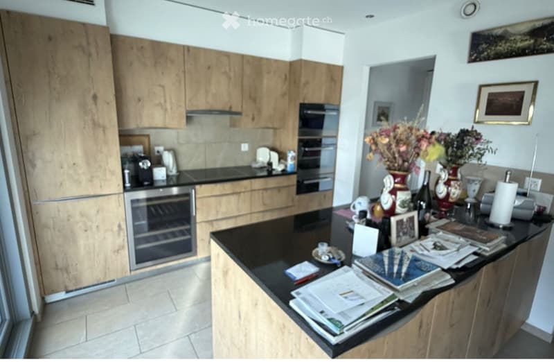 Location appartement en duplex de 200m2 (4)