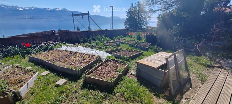 Une chambre si libère dans une Ecovillage (4)