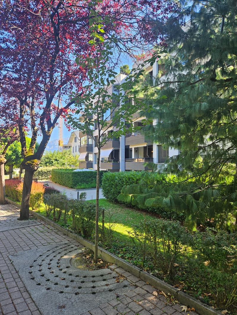 Appartement à louer (1)