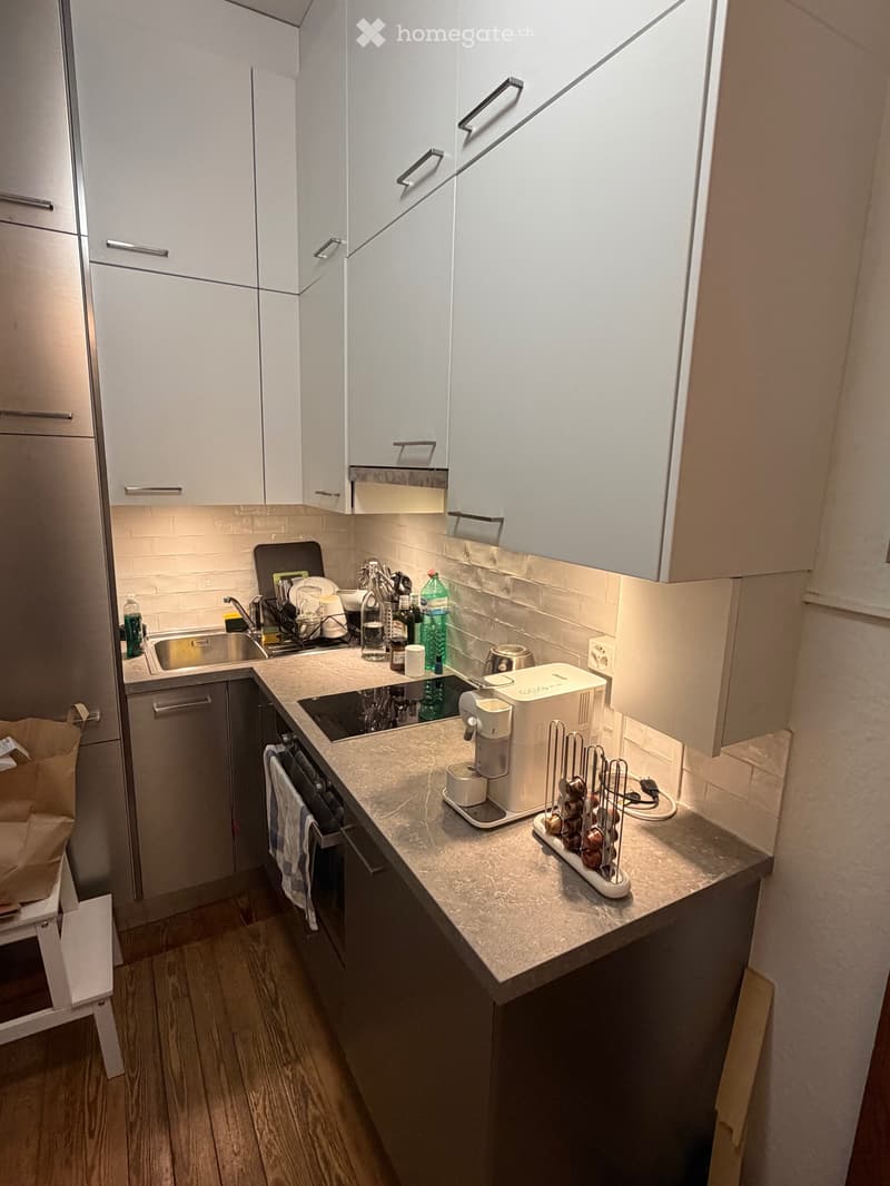 Appartement de 45 m², entièrement meublé aux Eaux Vives. (5)