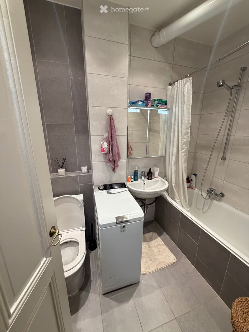 Appartement de 45 m², entièrement meublé aux Eaux Vives. (3)