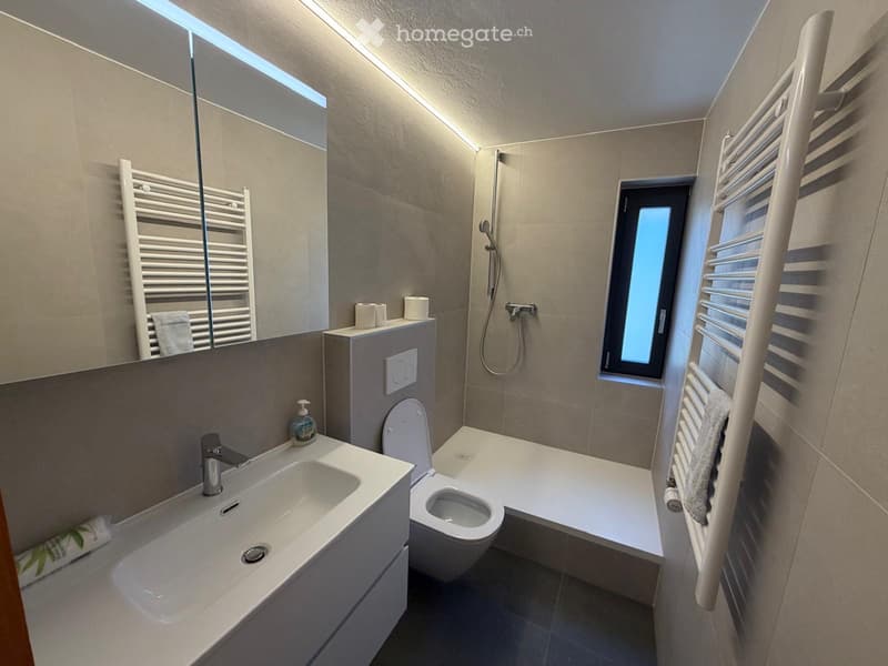 Appartement de 3.5 pièces à Evolène balcon et splendide vue (1)