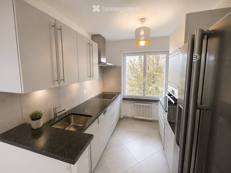 Moderne 4.5-Zimmer-Wohnung mit grossem Balkon und Aussicht (4)
