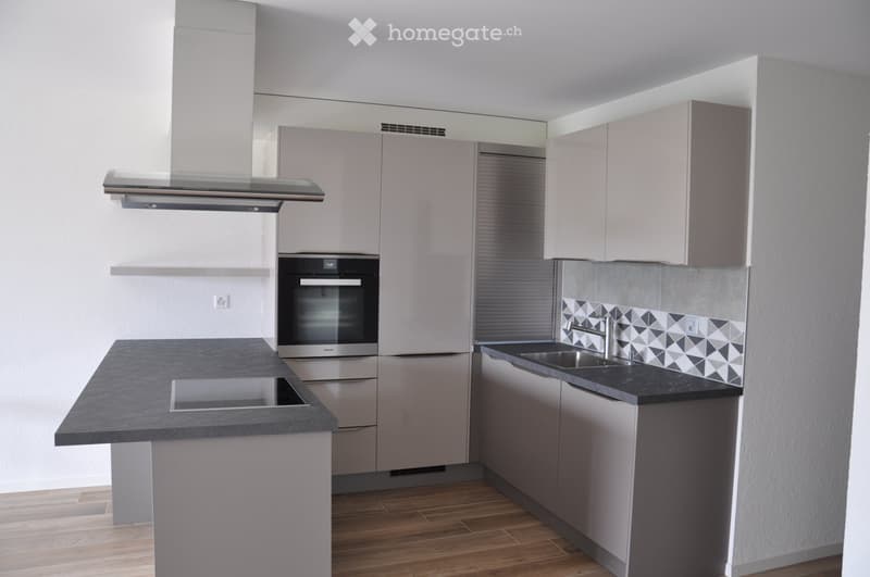 Gollion : Lumineux 3,5 pces de standing avec 2 balcons (2)