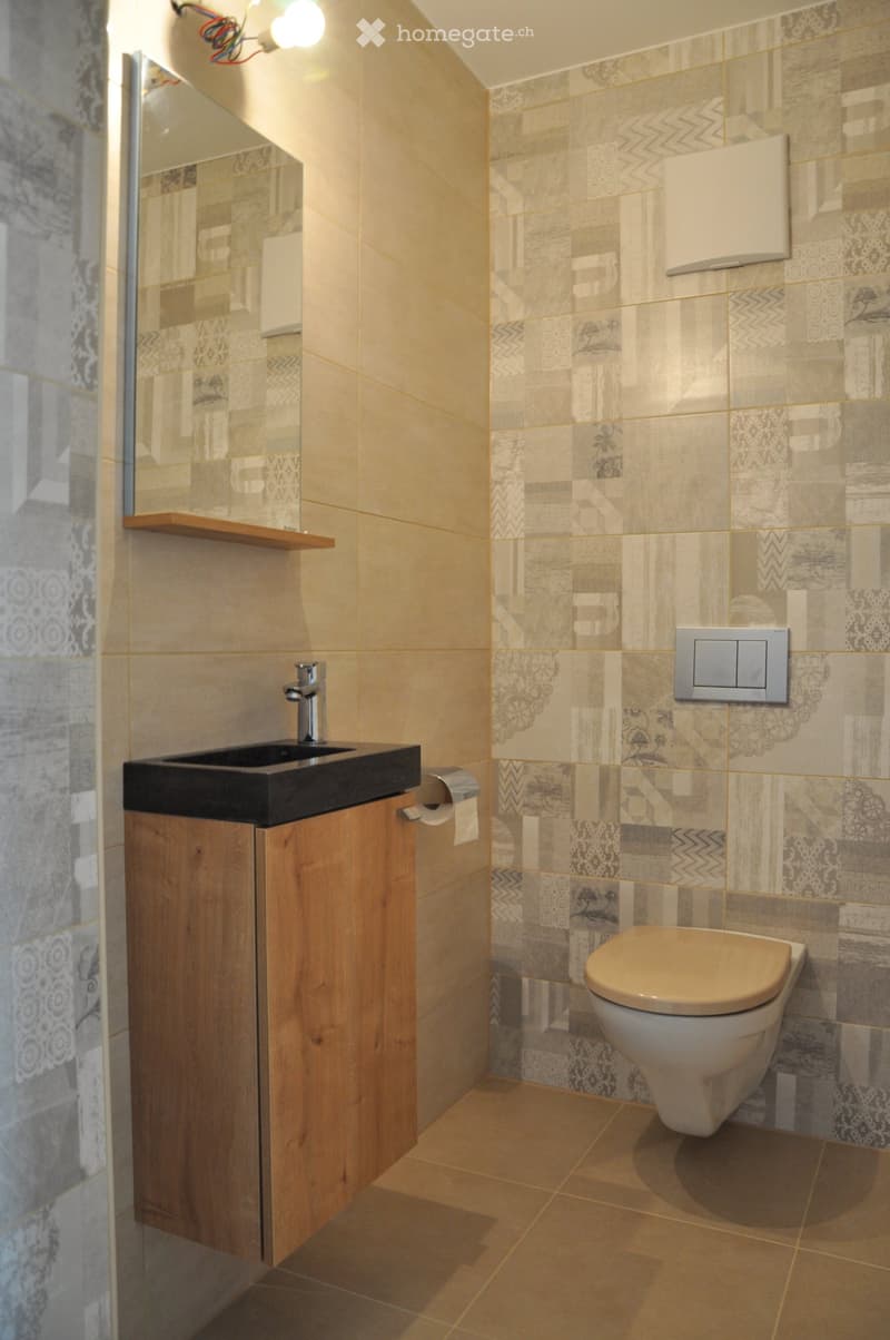 Gollion : Lumineux 3,5 pces de standing avec 2 balcons (5)