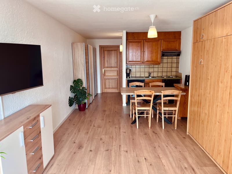 Appartement meublé 2,5 pièces, grande terrasse, centre (3)