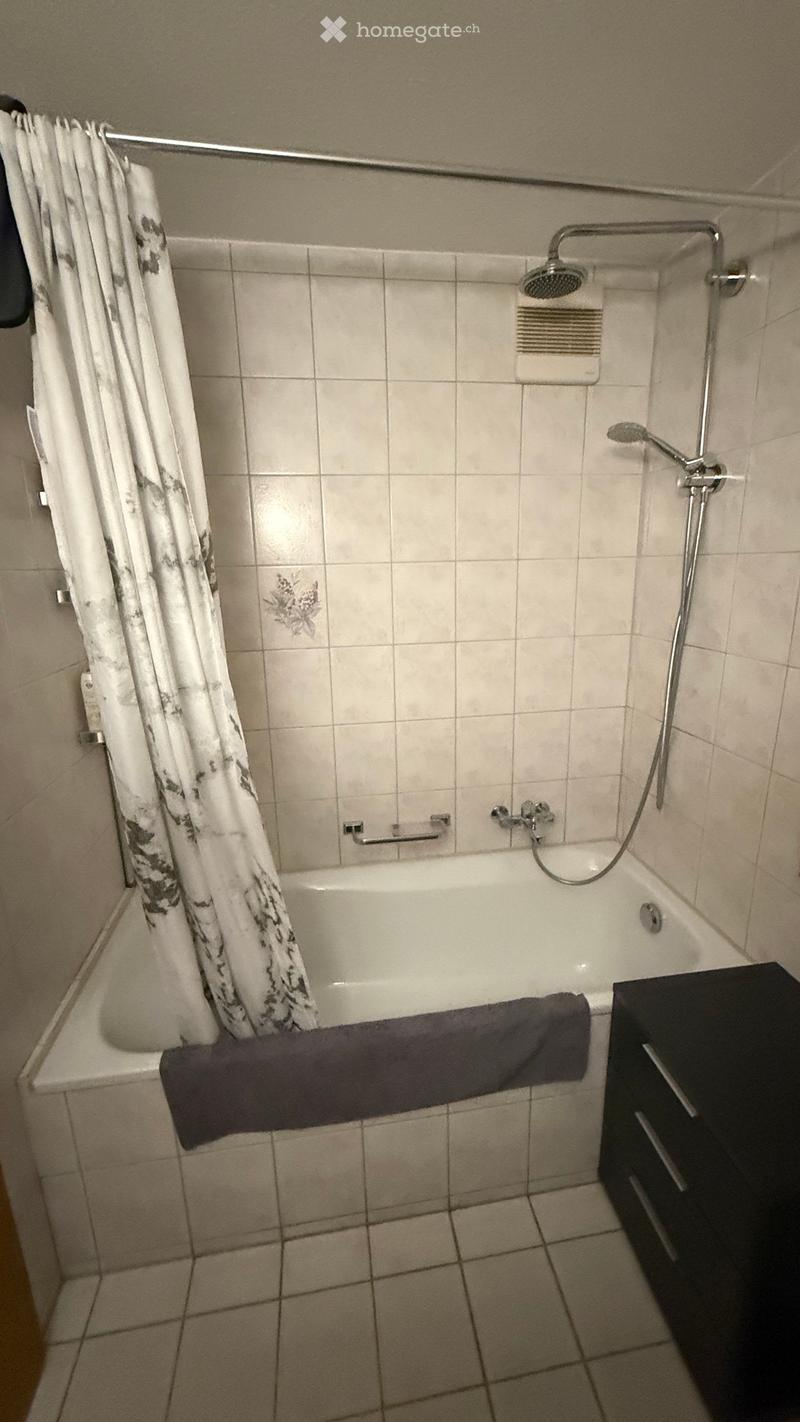 Schöne helle 3.5 Zimmer Wohnung (3)