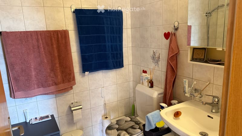 Schöne helle 3.5 Zimmer Wohnung (4)