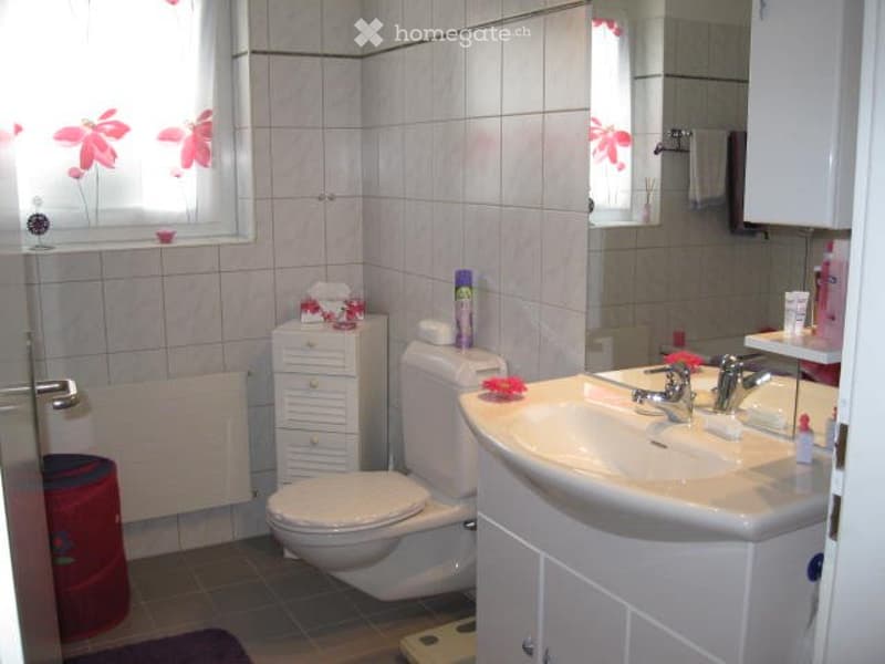Schöne 3,5 Zimmerwohnung zu vermieten mit Balkon+Terrasse (3)