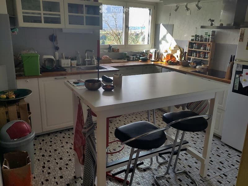 2,5 p. à sous-louer septembre et à partager avec notre chat (3)