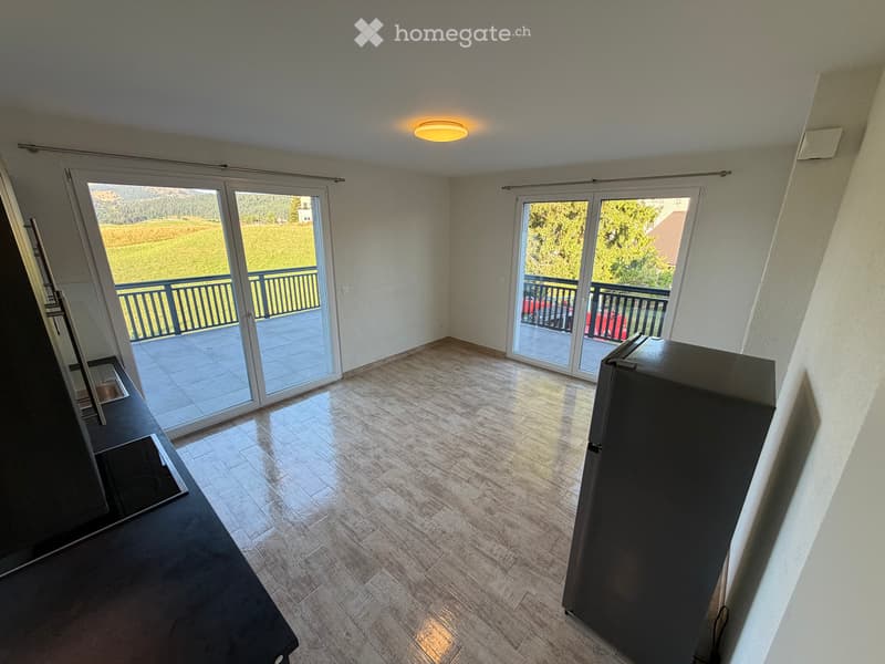 Studio avec grande terrasse et vue libre de suite (2)