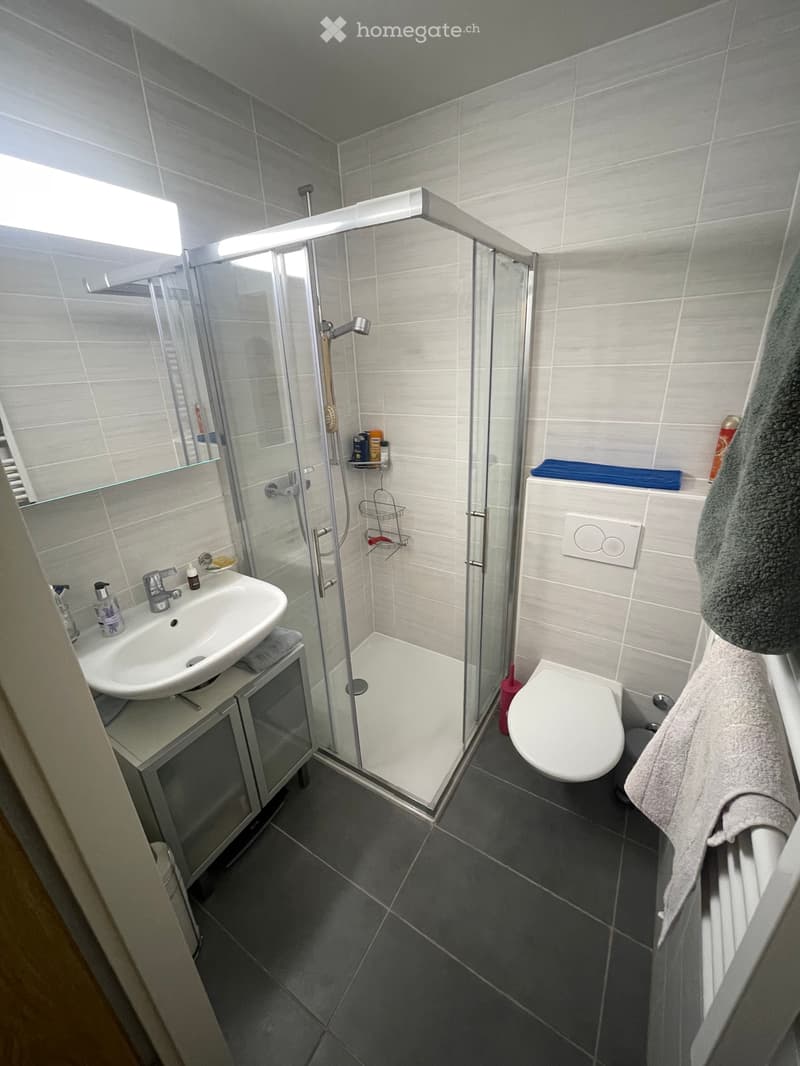 Magnifique appartement à louer à Celigny (10)