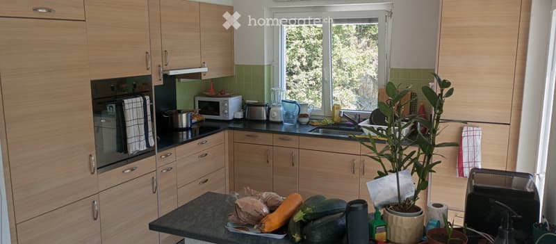 Colocation dans villa à Gravelone (2)