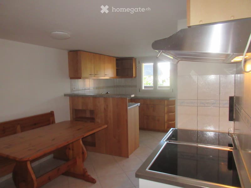 2 1/2 - Zimmer Wohnung (frei ab sofort) (1)