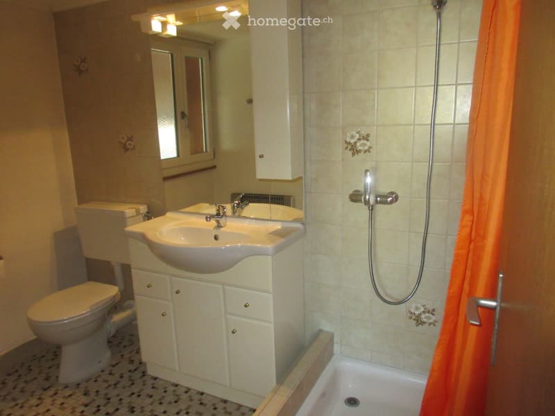 2 1/2 - Zimmer Wohnung (frei ab sofort) (3)