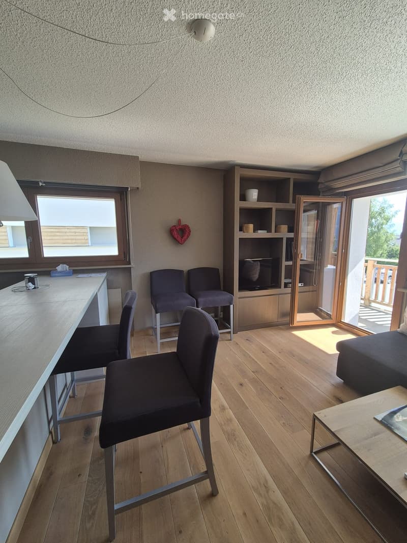 Très bel appartement entièrement meublé (3)