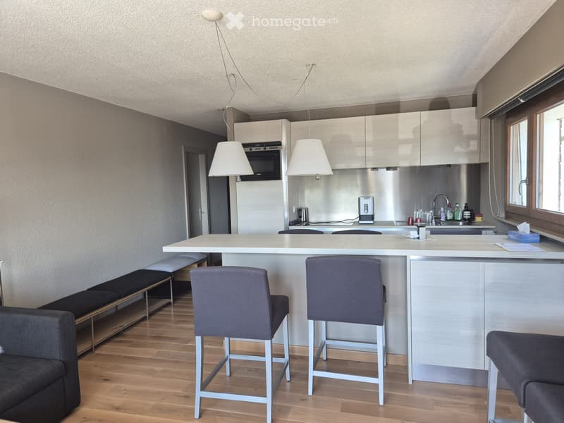 Très bel appartement entièrement meublé (4)