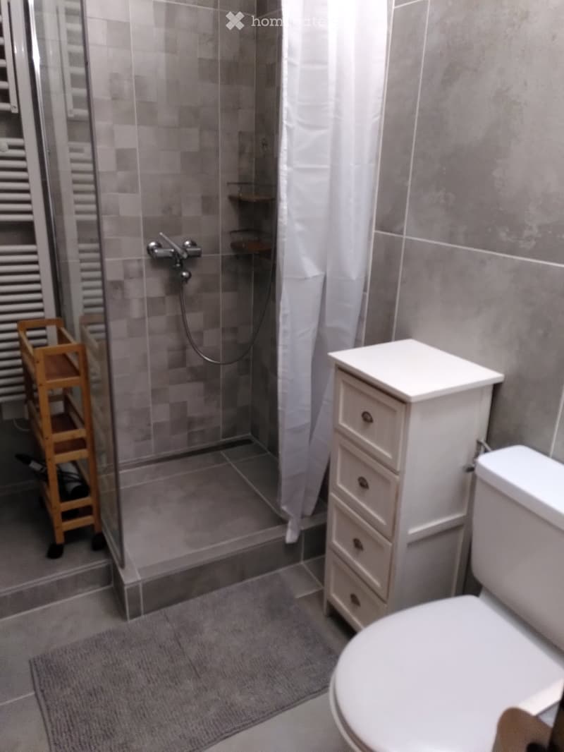 Appartement avec jardin pour location saisonnière à Ovronnaz (3)