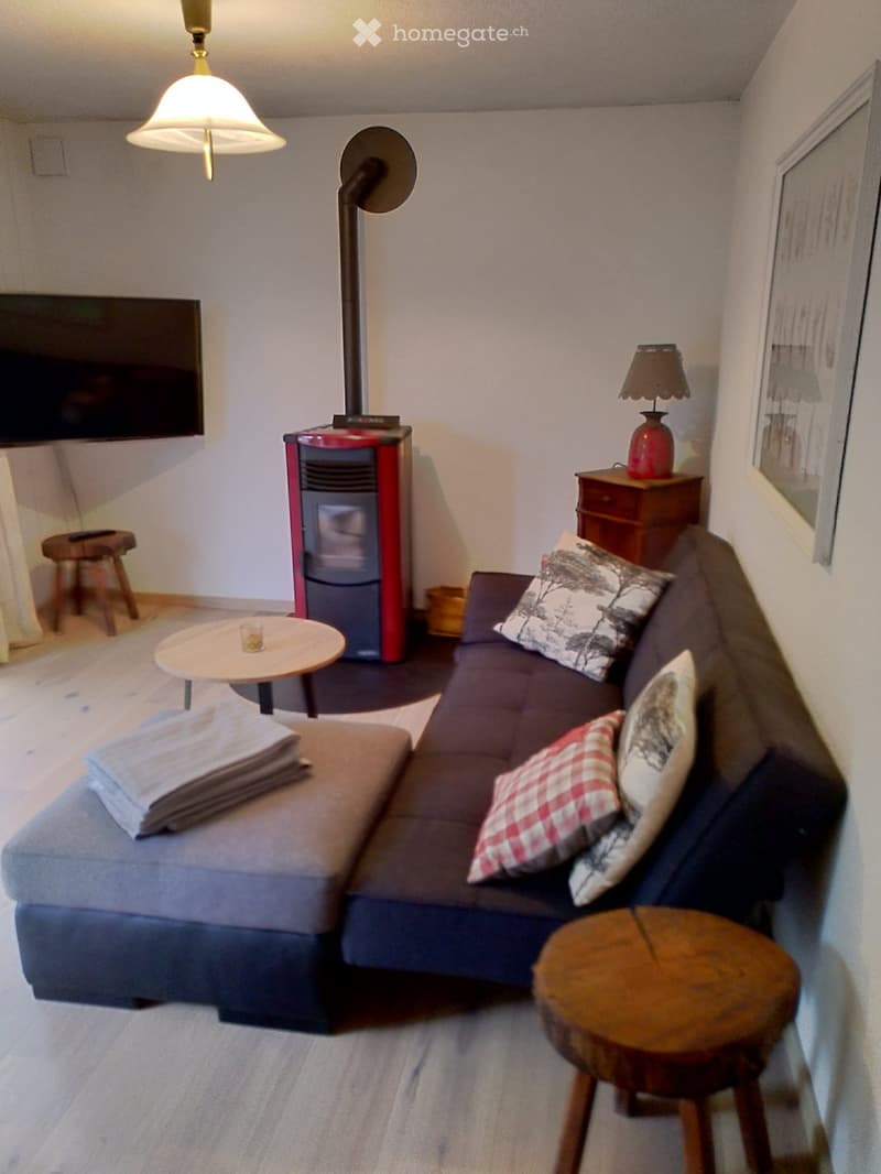 Appartement avec jardin pour location saisonnière à Ovronnaz (4)