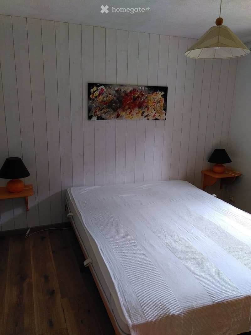Appartement avec jardin pour location saisonnière à Ovronnaz (5)