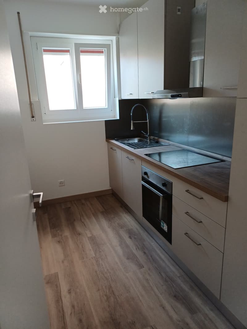 Appartamento 3.5 Lugano centro,Cassarate/Viganello Via Lido (3)