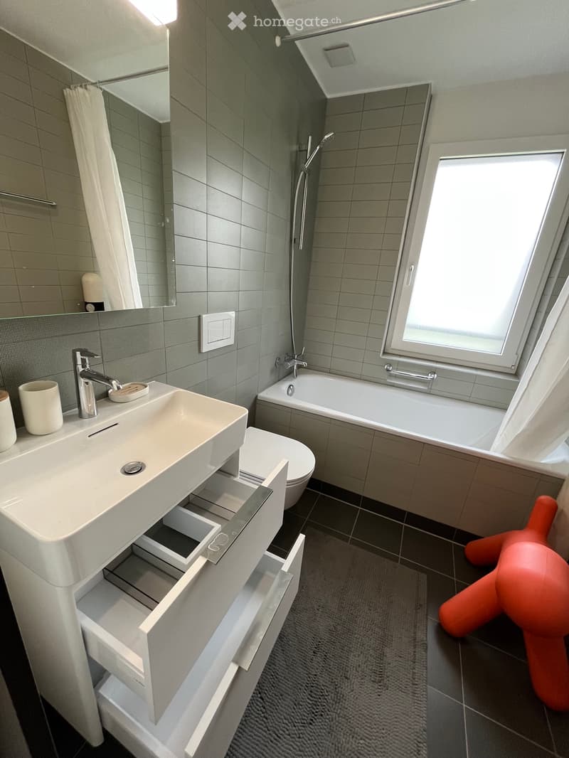 Loue chambre avec salle de bain privative dans immeuble luxe (3)