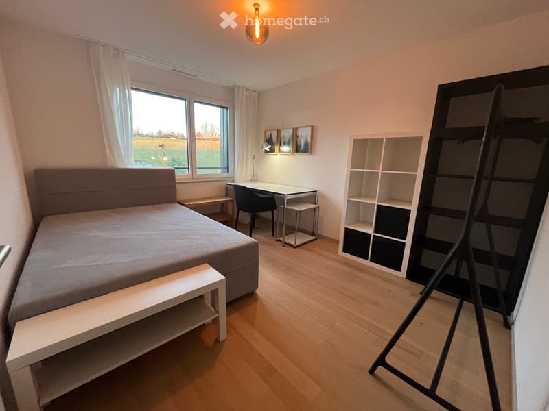 Loue chambre avec salle de bain privative dans immeuble luxe (1)