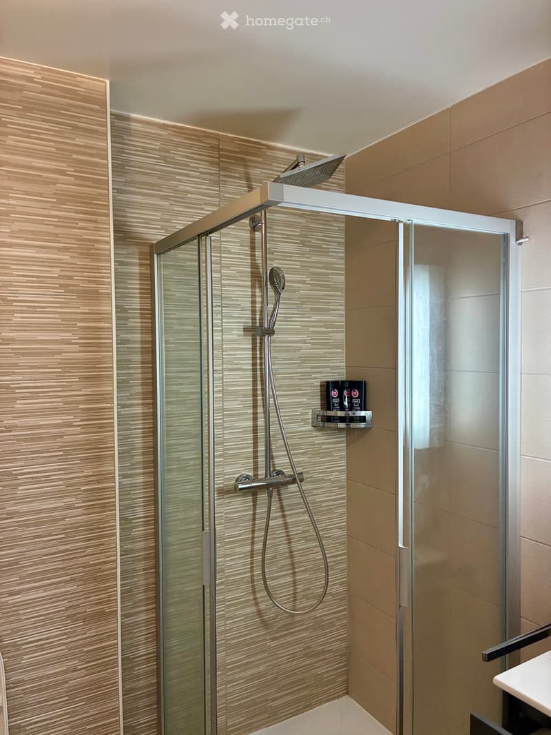 Studio moderne 28 m2 prilly centre vue dégagée (7)