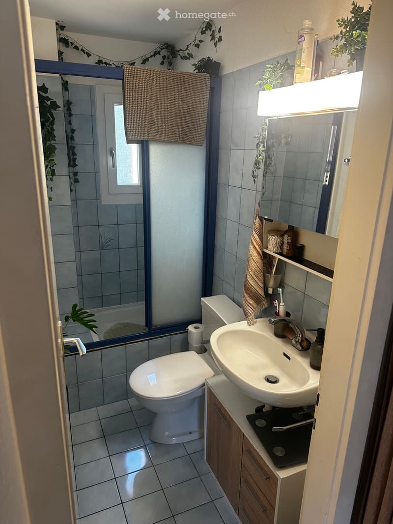 Appartement en centre ville, dans un quartier verdoyant (9)