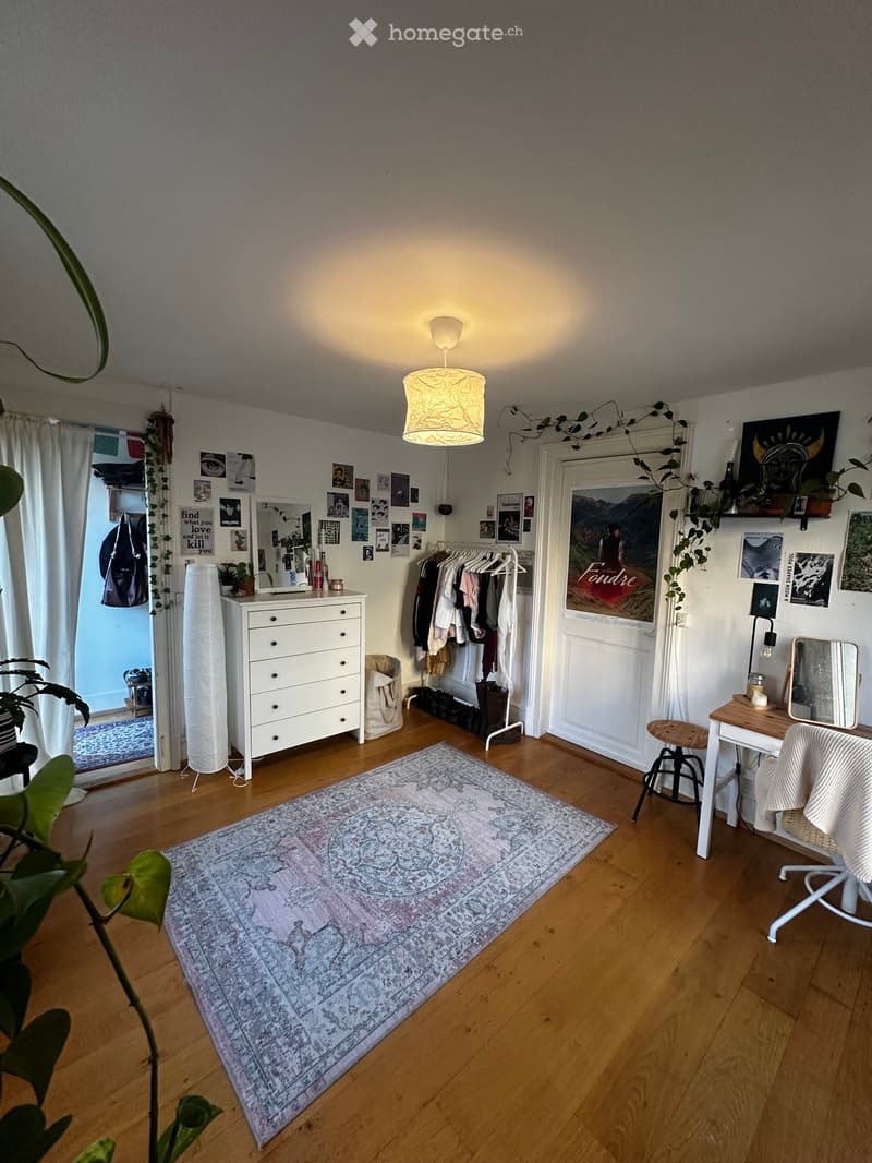Appartement en centre ville, dans un quartier verdoyant (3)