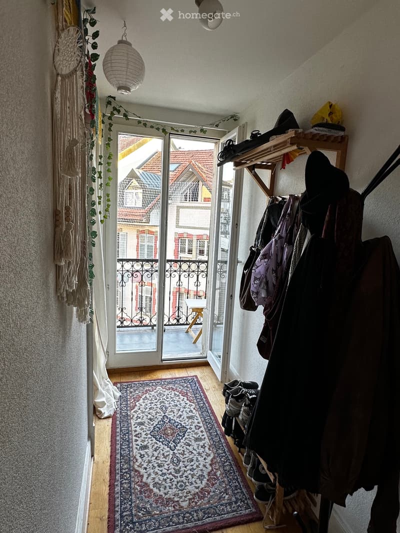 Appartement en centre ville, dans un quartier verdoyant (6)