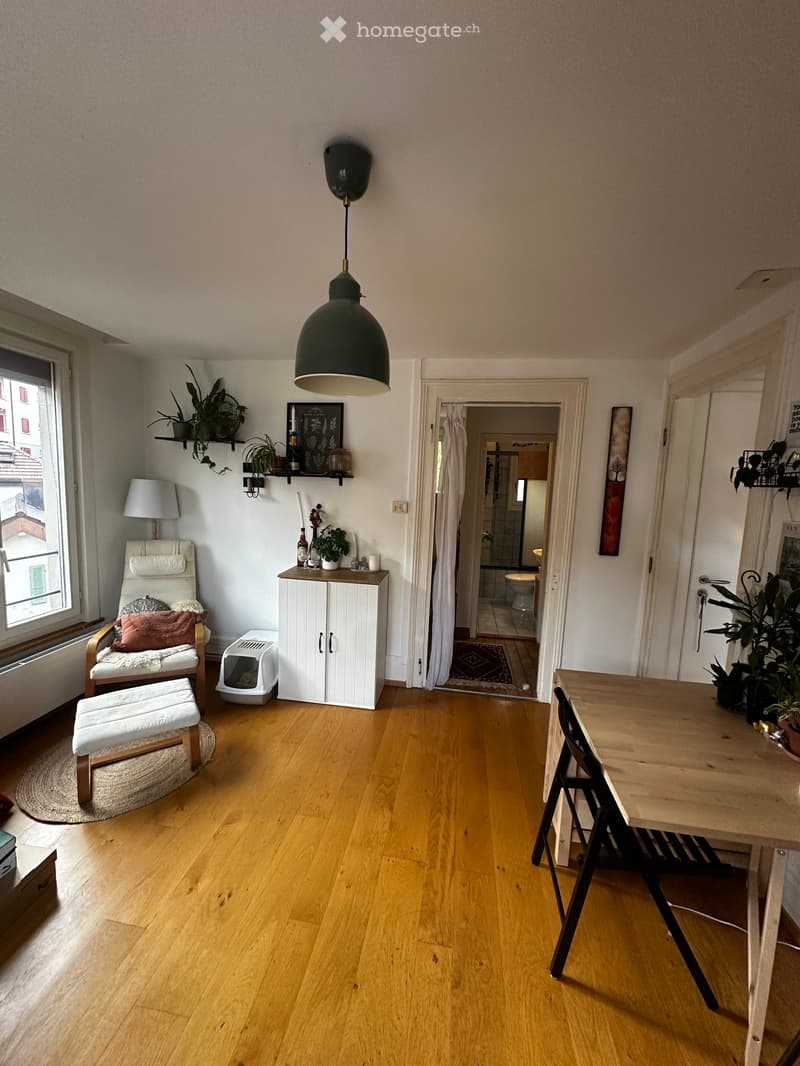 Appartement en centre ville, dans un quartier verdoyant (5)