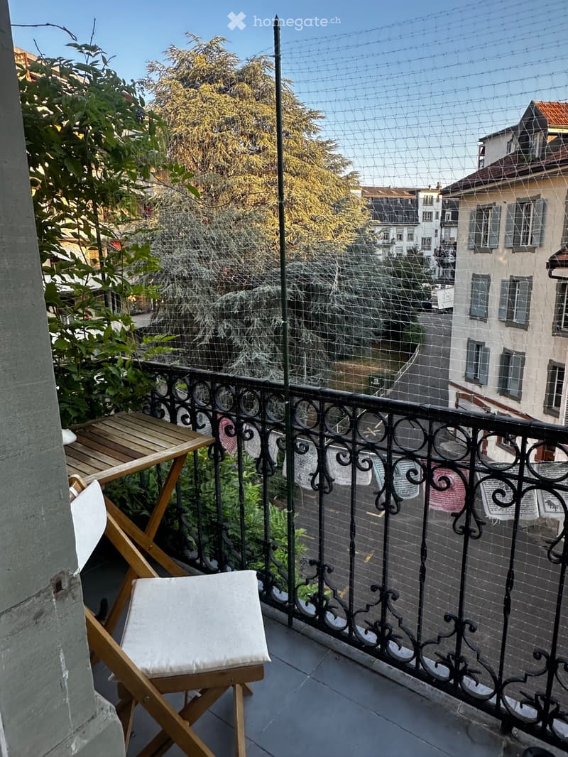 Appartement en centre ville, dans un quartier verdoyant (7)