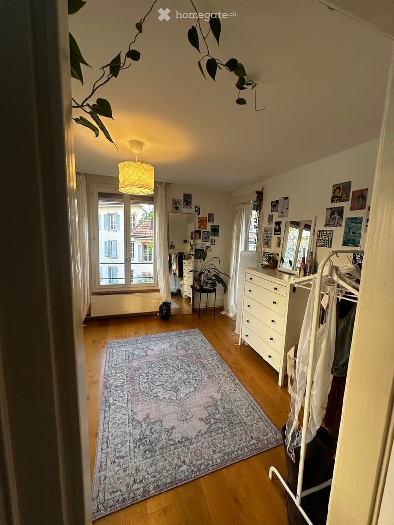 Appartement en centre ville, dans un quartier verdoyant (4)