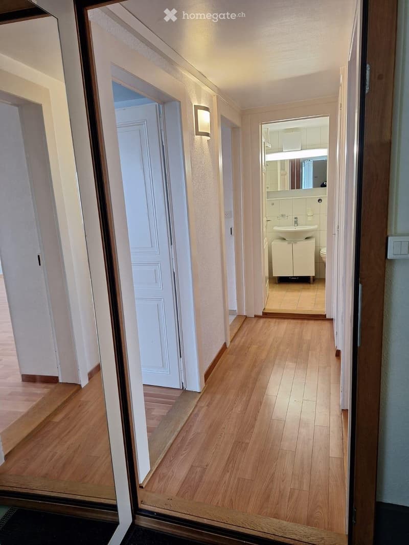 Appartement 2 pièces lumineux, tranquille avec place de parc (3)