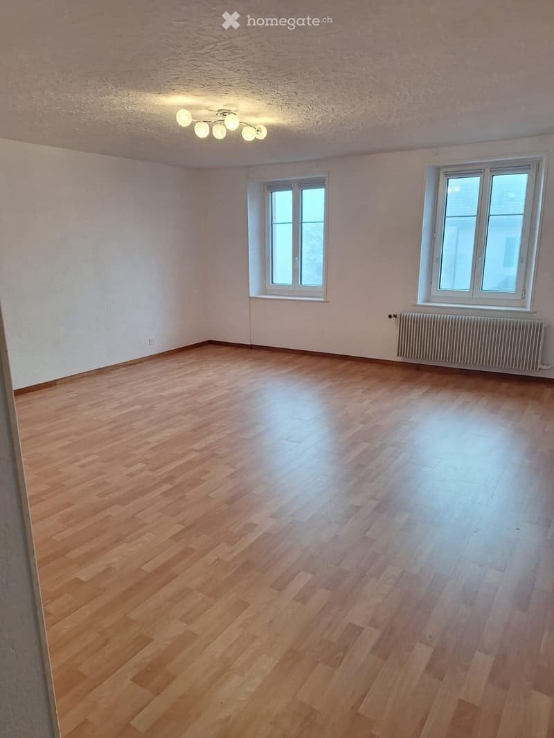 Appartement 2 pièces lumineux, tranquille avec place de parc (1)