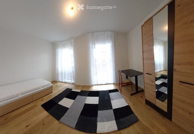 1 pièce meublée , app. neuf, moderne, 110m2, 3-éme étage (2)