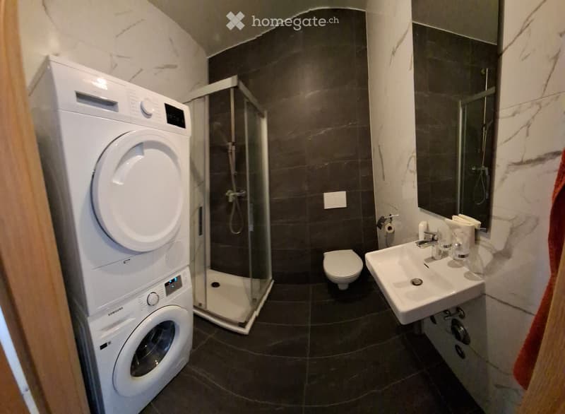 1 pièce meublée , app. neuf, moderne, 110m2, 3-éme étage (5)