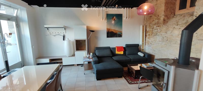 APPART DARTISTE MEUBLE PROCHE CENTREVILLE/LAC PARC Z. BLEU (8)