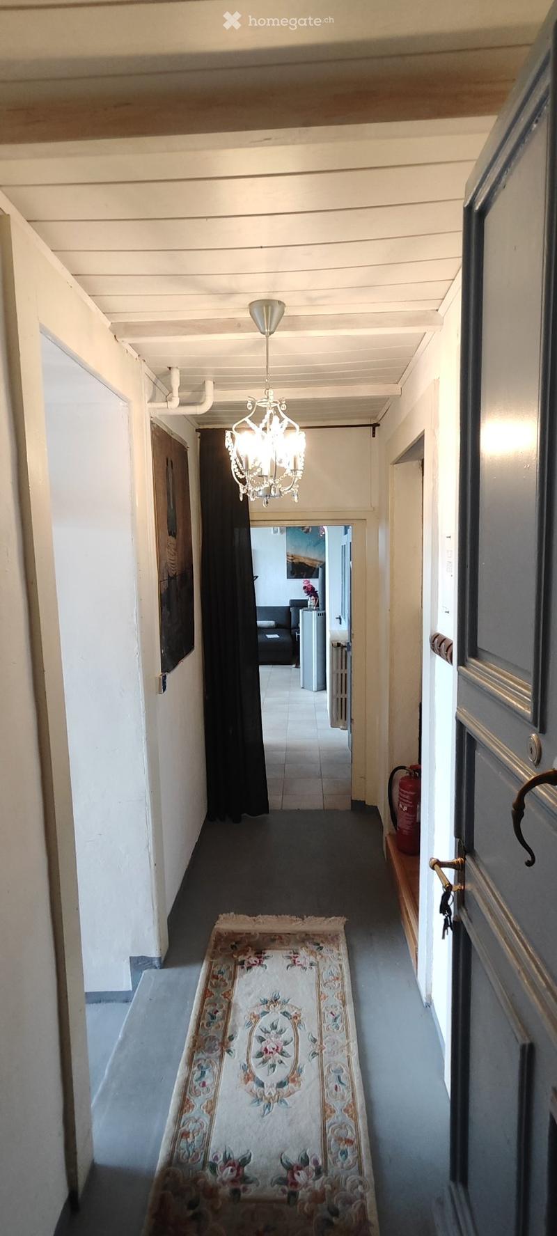 APPART DARTISTE MEUBLE PROCHE CENTREVILLE/LAC PARC Z. BLEU (4)