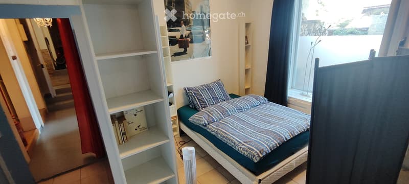 APPART DARTISTE MEUBLE PROCHE CENTREVILLE/LAC PARC Z. BLEU (12)