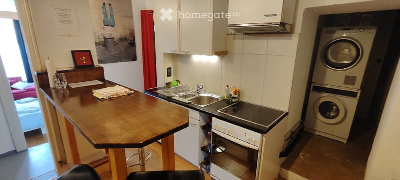 APPART DARTISTE MEUBLE PROCHE CENTREVILLE/LAC PARC Z. BLEU (10)