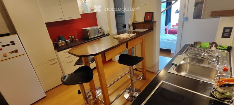 APPART DARTISTE MEUBLE PROCHE CENTREVILLE/LAC PARC Z. BLEU (5)