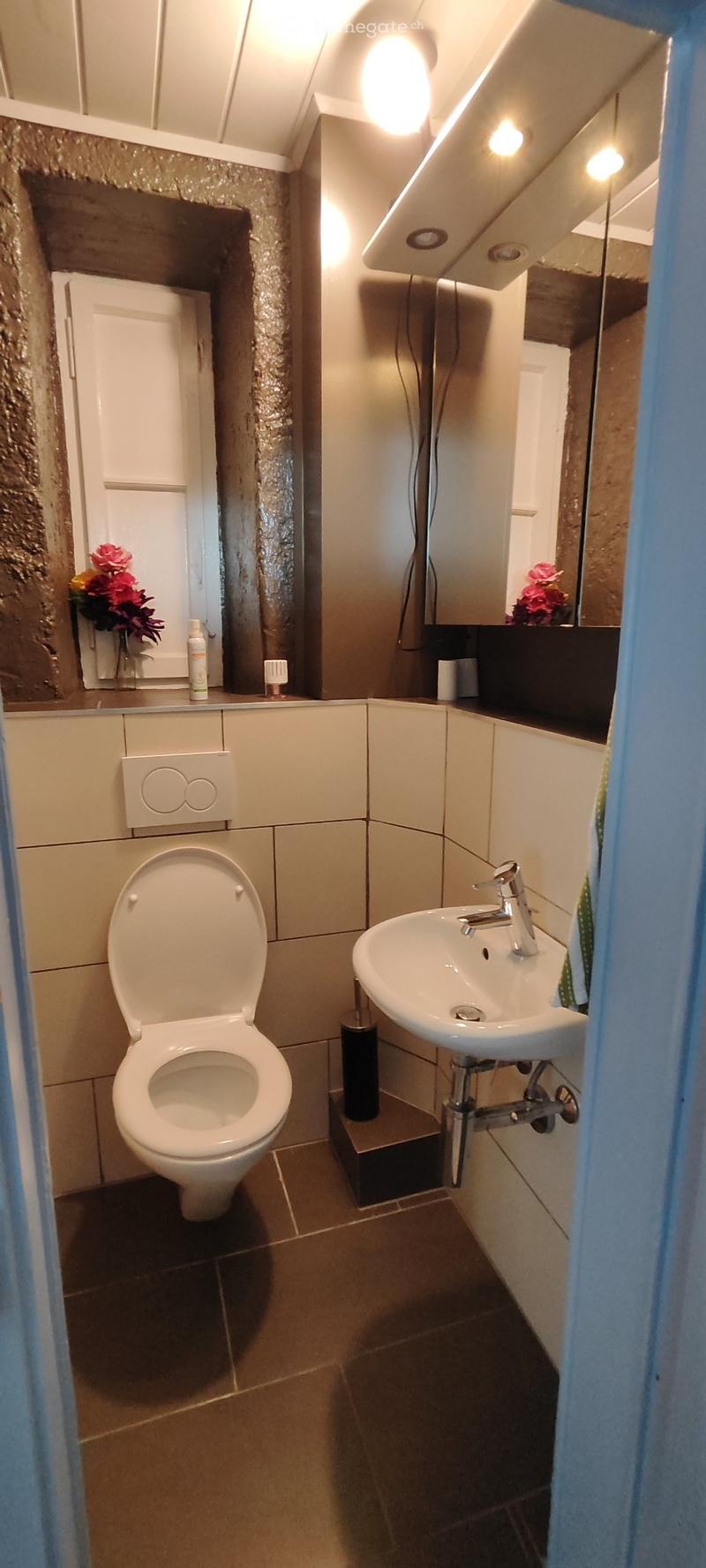 APPART DARTISTE MEUBLE PROCHE CENTREVILLE/LAC PARC Z. BLEU (13)